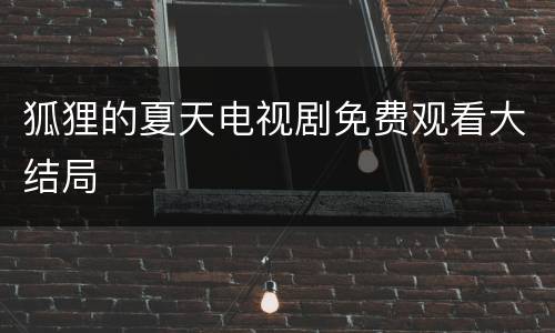 狐狸的夏天电视剧免费观看大结局