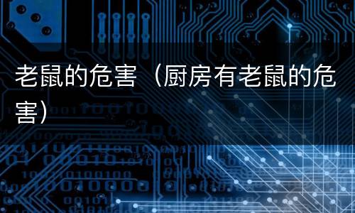 老鼠的危害（厨房有老鼠的危害）
