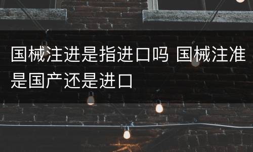 国械注进是指进口吗 国械注准是国产还是进口