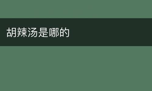 胡辣汤是哪的