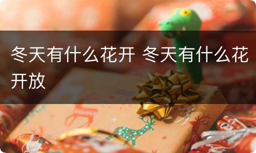 冬天有什么花开 冬天有什么花开放