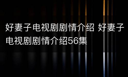 好妻子电视剧剧情介绍 好妻子电视剧剧情介绍56集