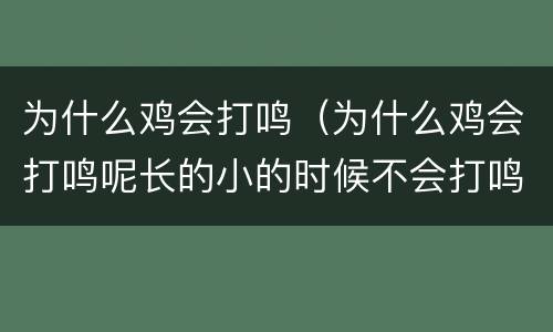 为什么鸡会打鸣（为什么鸡会打鸣呢长的小的时候不会打鸣）