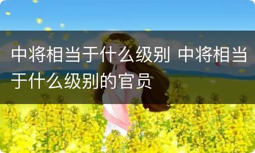 中将相当于什么级别 中将相当于什么级别的官员