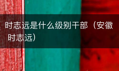 时志远是什么级别干部（安徽 时志远）