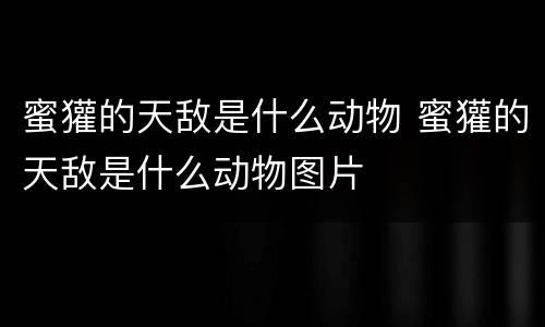 蜜獾的天敌是什么动物 蜜獾的天敌是什么动物图片