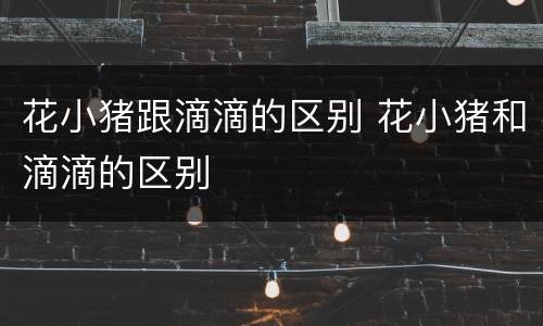 花小猪跟滴滴的区别 花小猪和滴滴的区别