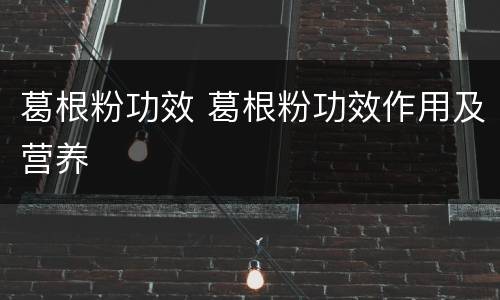 葛根粉功效 葛根粉功效作用及营养