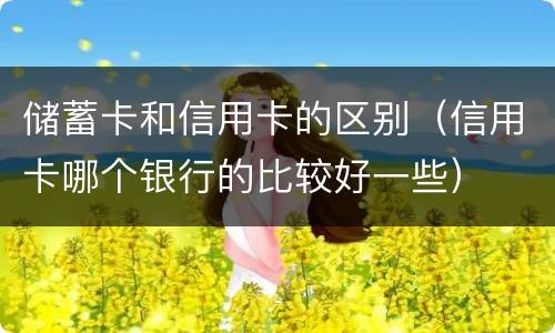 储蓄卡和信用卡的区别（信用卡哪个银行的比较好一些）
