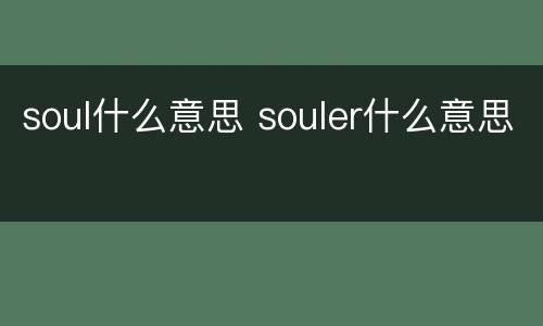 soul什么意思 souler什么意思