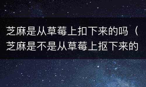 芝麻是从草莓上扣下来的吗（芝麻是不是从草莓上抠下来的）