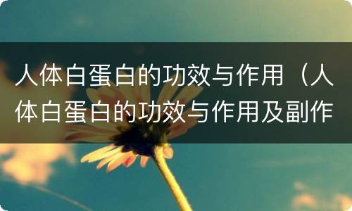 人体白蛋白的功效与作用（人体白蛋白的功效与作用及副作用）