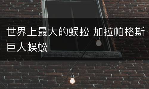 世界上最大的蜈蚣 加拉帕格斯巨人蜈蚣