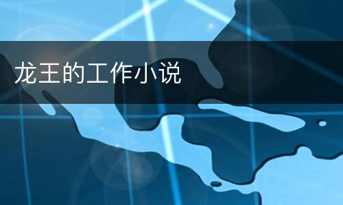 龙王的工作小说