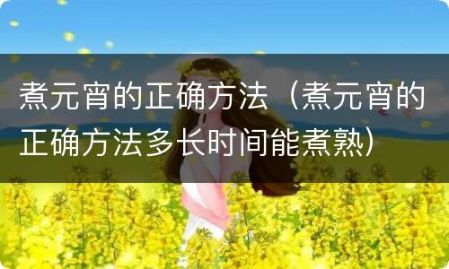 煮元宵的正确方法（煮元宵的正确方法多长时间能煮熟）
