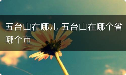 五台山在哪儿 五台山在哪个省哪个市