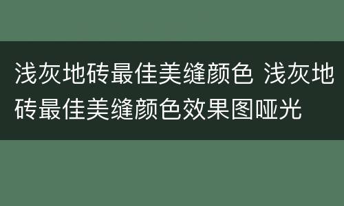 浅灰地砖最佳美缝颜色 浅灰地砖最佳美缝颜色效果图哑光