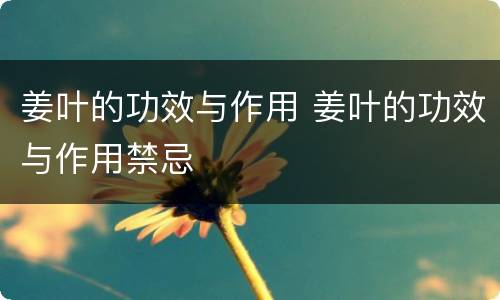 姜叶的功效与作用 姜叶的功效与作用禁忌