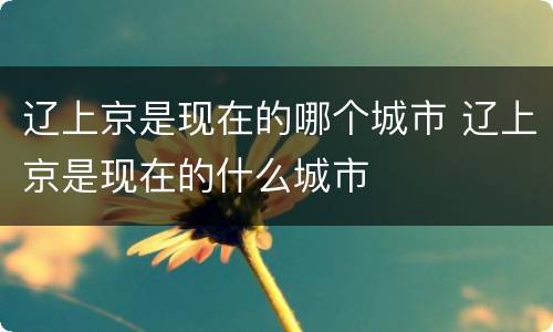 辽上京是现在的哪个城市 辽上京是现在的什么城市