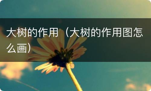 大树的作用（大树的作用图怎么画）