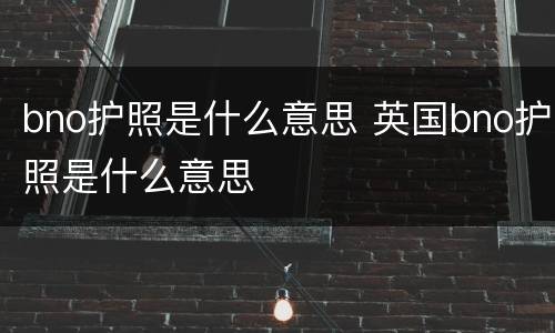 bno护照是什么意思 英国bno护照是什么意思
