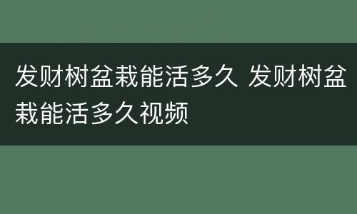发财树盆栽能活多久 发财树盆栽能活多久视频