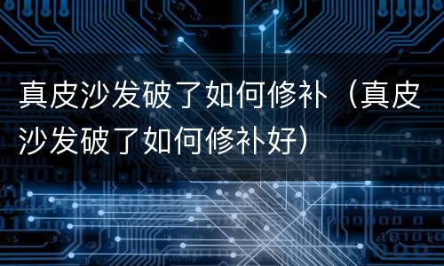 真皮沙发破了如何修补（真皮沙发破了如何修补好）