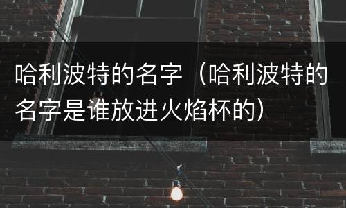 哈利波特的名字（哈利波特的名字是谁放进火焰杯的）