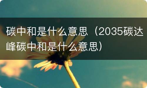 碳中和是什么意思（2035碳达峰碳中和是什么意思）