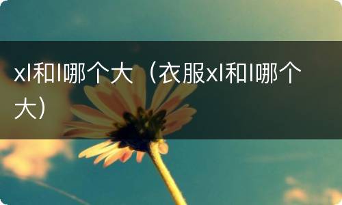 xl和l哪个大（衣服xl和l哪个大）