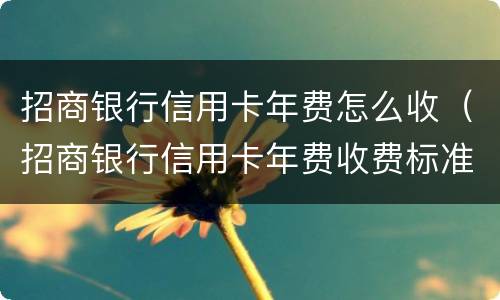 招商银行信用卡年费怎么收（招商银行信用卡年费收费标准）