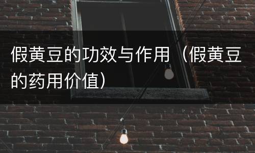 假黄豆的功效与作用（假黄豆的药用价值）