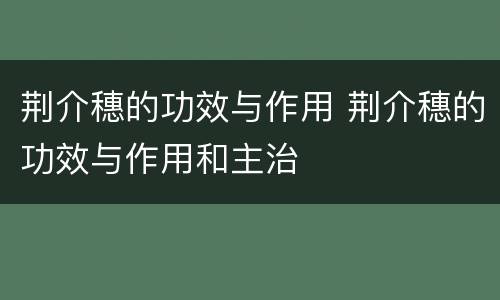 荆介穗的功效与作用 荆介穗的功效与作用和主治