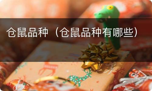仓鼠品种（仓鼠品种有哪些）