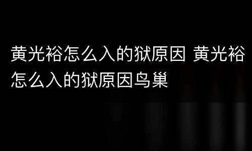 黄光裕怎么入的狱原因 黄光裕怎么入的狱原因鸟巢