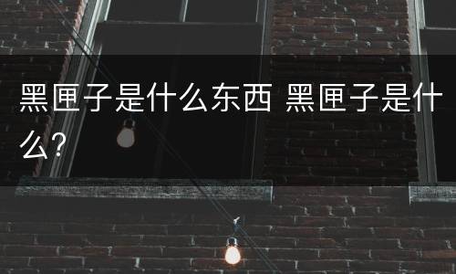 黑匣子是什么东西 黑匣子是什么?
