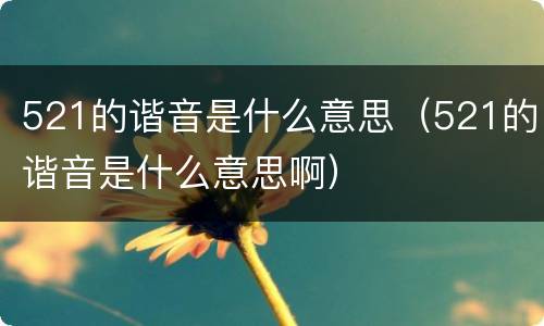 521的谐音是什么意思（521的谐音是什么意思啊）