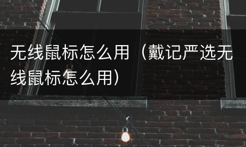 无线鼠标怎么用（戴记严选无线鼠标怎么用）
