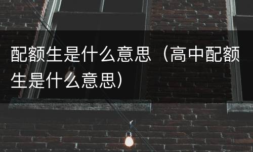 配额生是什么意思（高中配额生是什么意思）