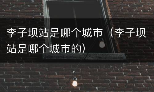 李子坝站是哪个城市（李子坝站是哪个城市的）