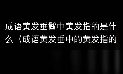 成语黄发垂髫中黄发指的是什么（成语黄发垂中的黄发指的是）