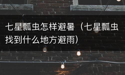 七星瓢虫怎样避暑（七星瓢虫找到什么地方避雨）