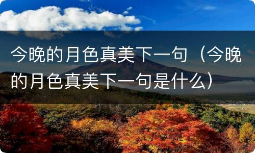 今晚的月色真美下一句（今晚的月色真美下一句是什么）