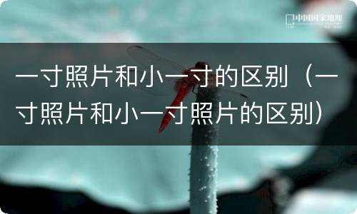 一寸照片和小一寸的区别（一寸照片和小一寸照片的区别）