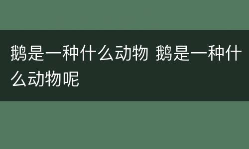 鹅是一种什么动物 鹅是一种什么动物呢