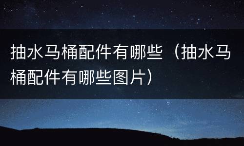 抽水马桶配件有哪些（抽水马桶配件有哪些图片）