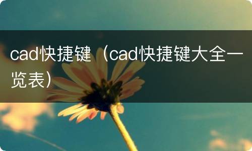 cad快捷键（cad快捷键大全一览表）