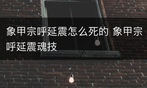 象甲宗呼延震怎么死的 象甲宗呼延震魂技