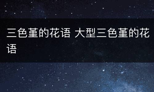 三色堇的花语 大型三色堇的花语