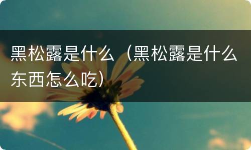 黑松露是什么（黑松露是什么东西怎么吃）
